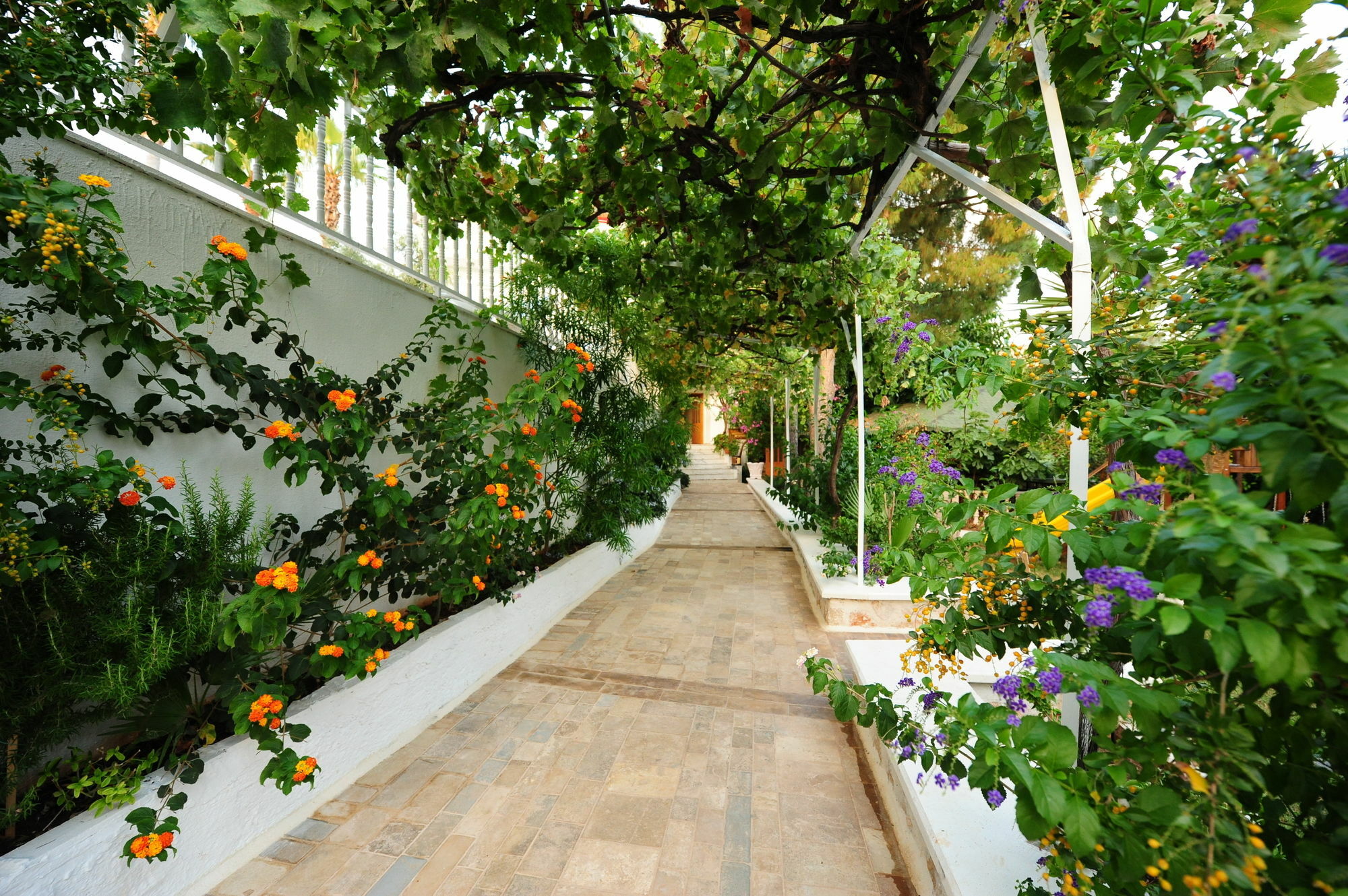 Golden Lighthouse Hotel Patara Exterior foto